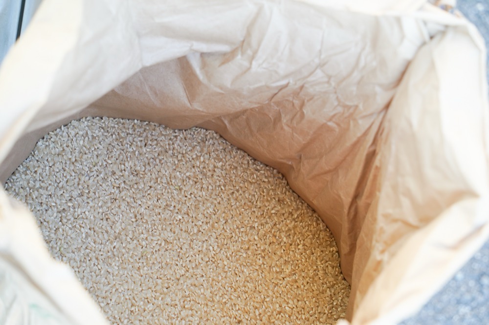 玄米30kg
